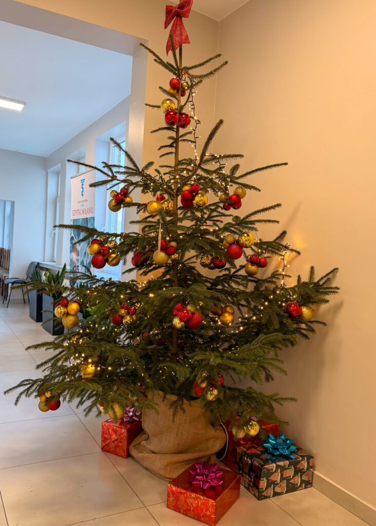 B2777013 8146 4B63 B015 AE446026B151 732x1024