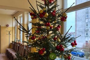 6768d09a 83b7 47f1 8849 c52da15a55cex1024